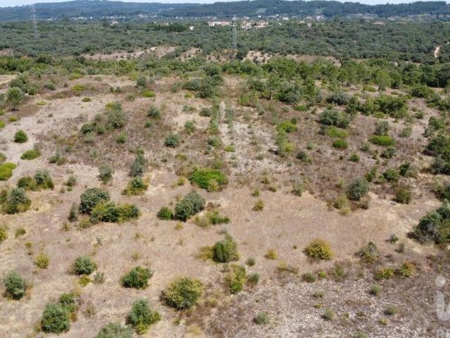 Terreno venda em Rego Da Murta, Santarém