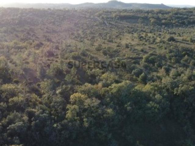 Terreno venda em Rego Da Murta, Santarém