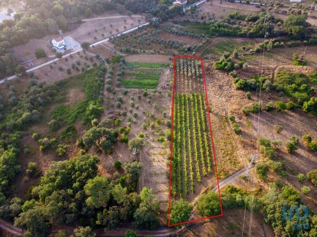 Terreno venda em Rego Da Murta, Santarém