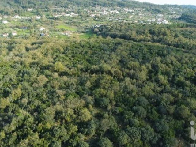 Terreno venda em Rego Da Murta, Santarém
