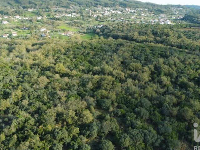 Terreno venda em Rego Da Murta, Santarém