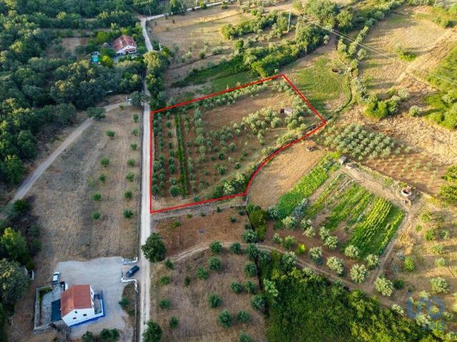 Terreno venda em Rego Da Murta, Santarém