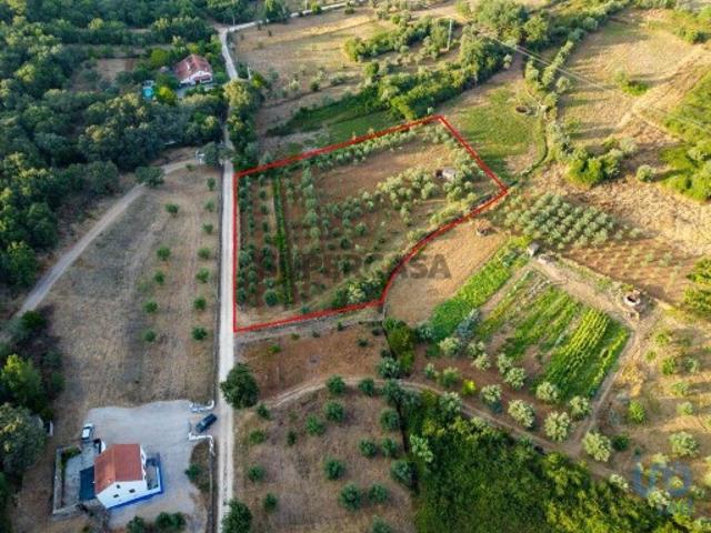 Terreno venda em Rego Da Murta, Santarém