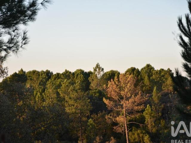 Terreno venda em Rego Da Murta, Santarém
