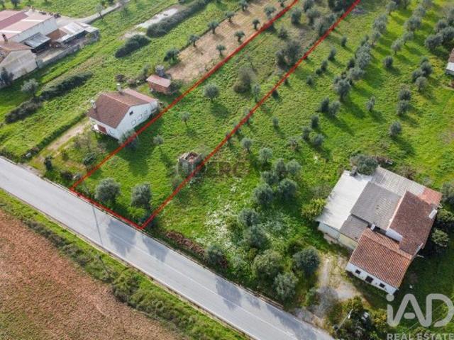 Terreno venda em Rego Da Murta, Santarém