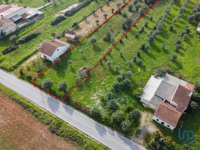 Terreno venda em Rego Da Murta, Santarém