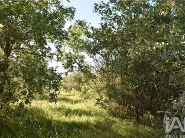 Terreno venda em Rego Da Murta, Santarém