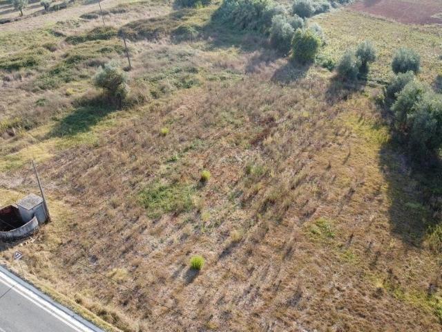 Terreno venda em Rego Da Murta, Santarém