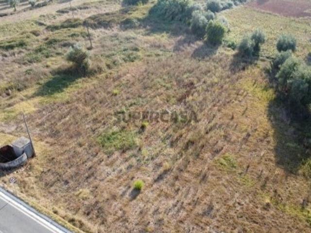 Terreno venda em Rego Da Murta, Santarém