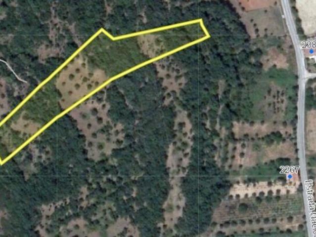 Terreno venda em Rego Da Murta, Santarém