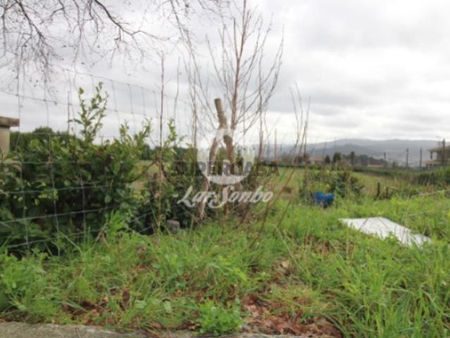 Terreno venda em Bolás, Santo Tirso