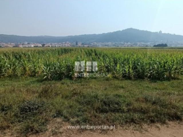 Terreno venda em Areosa, Viana Do Castelo