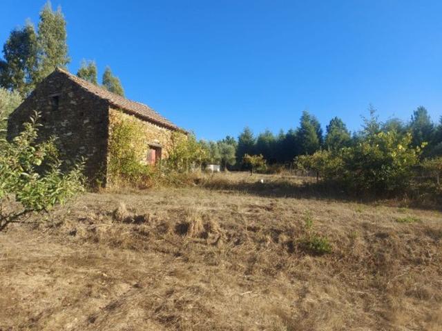 Terreno venda em Arganil