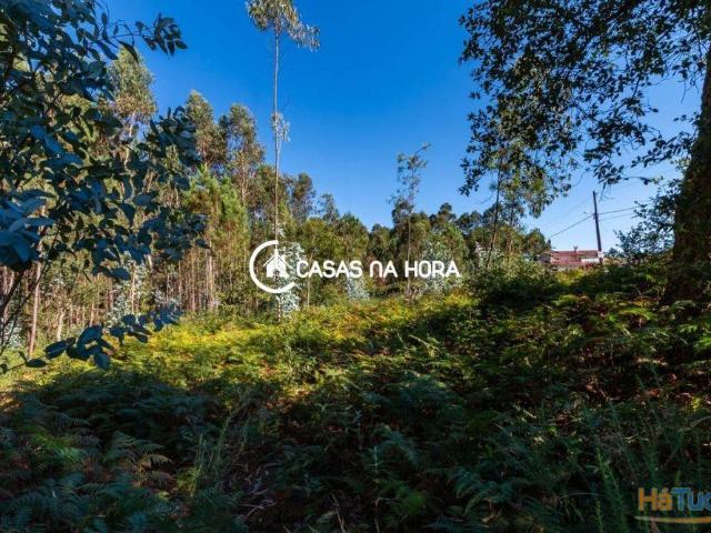 Terreno venda em Santa Maria Da Feira, Aveiro