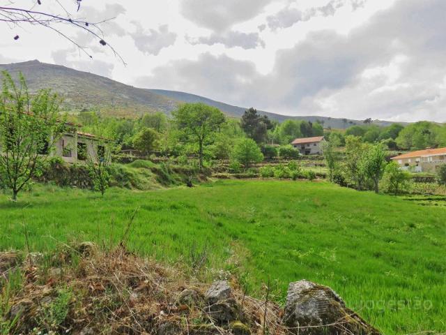 Terreno venda em Tarouca, Viseu