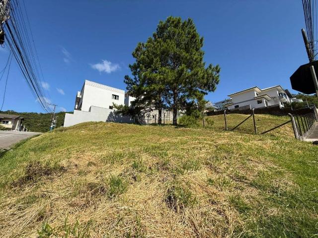 Terreno aluguel em Região Geográfica Imediata de Itajaí, Balneario Camboriú