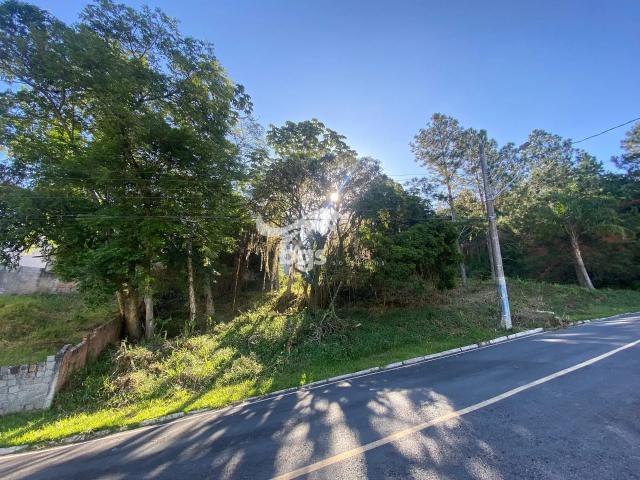 Terreno venda em Região Geográfica Imediata de Itajaí, Balneario Camboriú