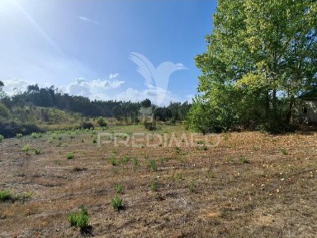 Terreno venda em Arneiro das Milhariças, Santarém