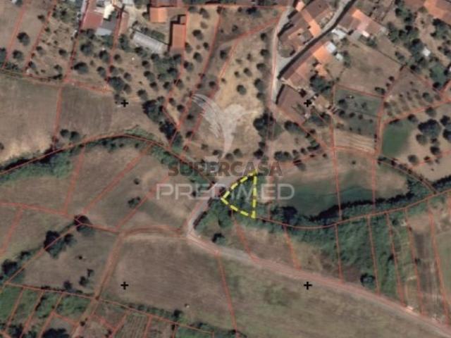 Terreno venda em Alcanena, Santarém