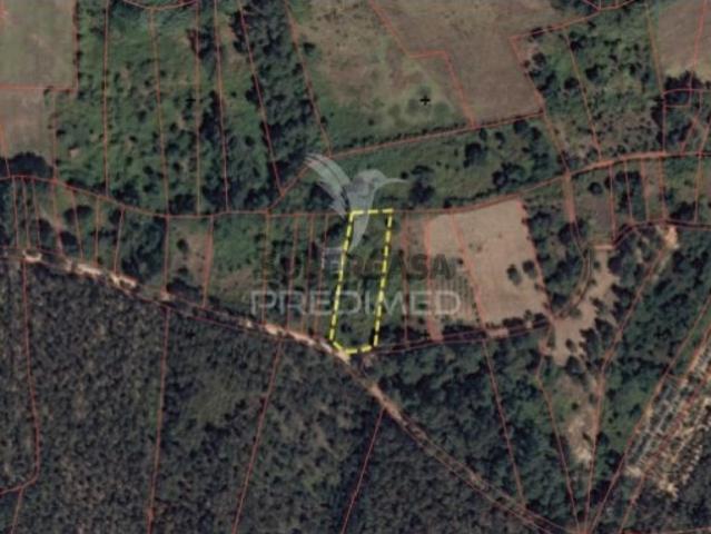 Terreno venda em Alcanena, Santarém
