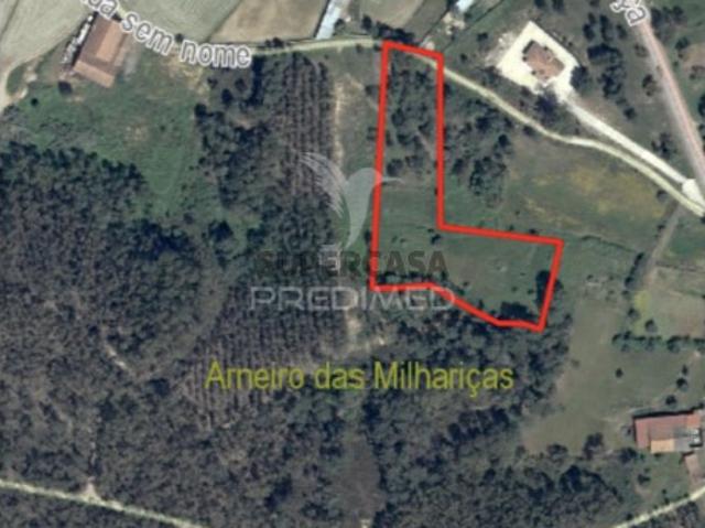 Terreno venda em Santarém