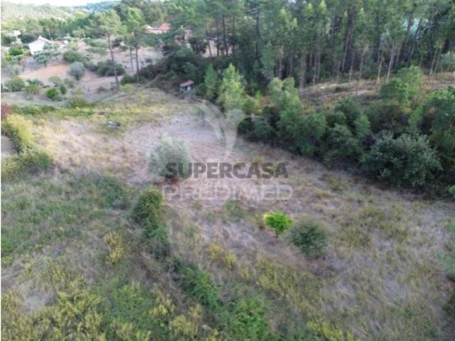 Terreno venda em Santarém