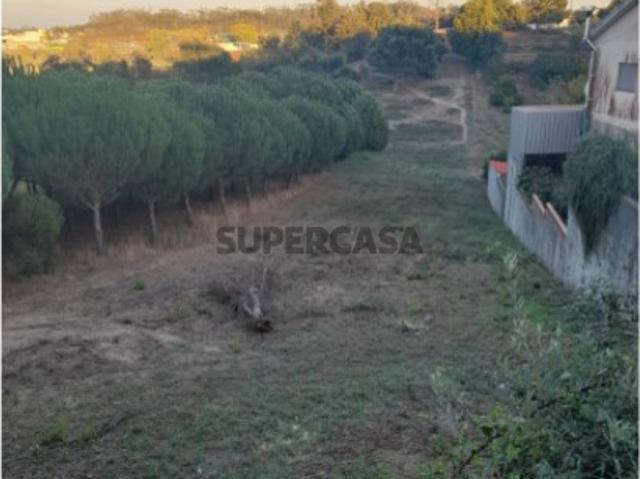 Terreno venda em Leiria
