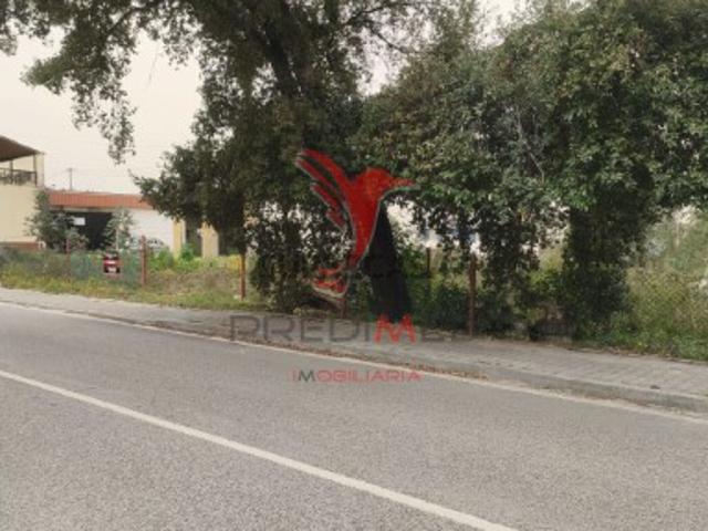 Terreno venda em Leiria