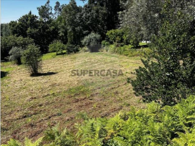 Terreno venda em Poiares (Santo André), Vila Nova De Poiares