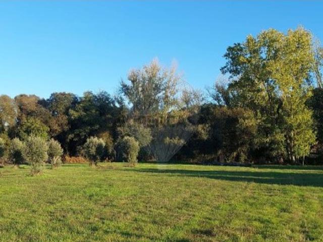 Terreno venda em Rio Maior, Santarém