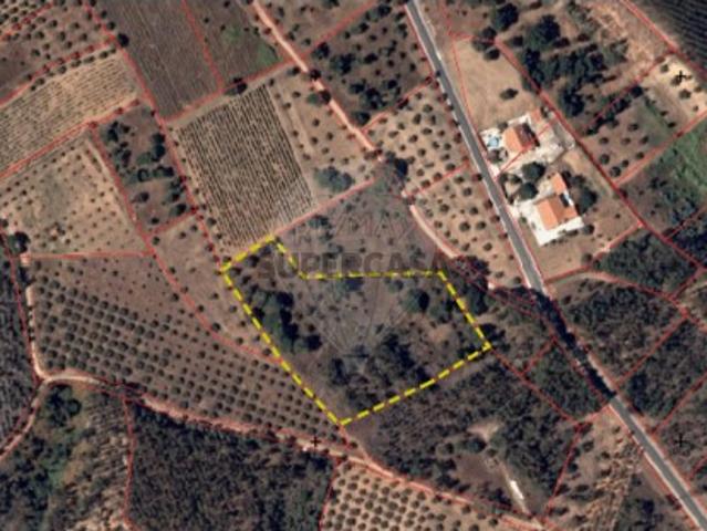 Terreno venda em Rio Maior, Santarém