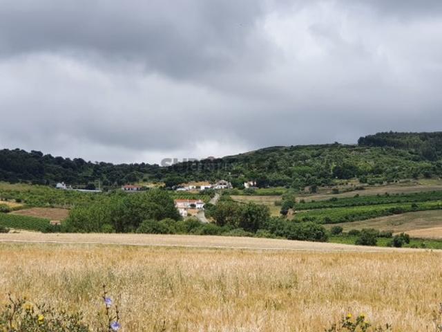Terreno venda em Arruda Dos Vinhos, Malafaia Terreno venda em Arruda Dos Vinhos, Malafaia