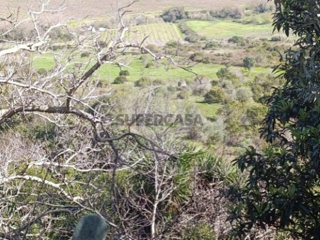 Terreno venda em Arruda Dos Vinhos, Lisboa