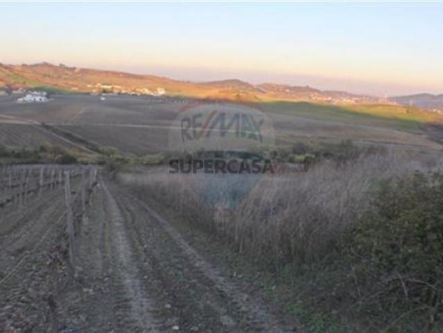 Terreno venda em Arruda Dos Vinhos, Malafaia Terreno venda em Arruda Dos Vinhos, Malafaia