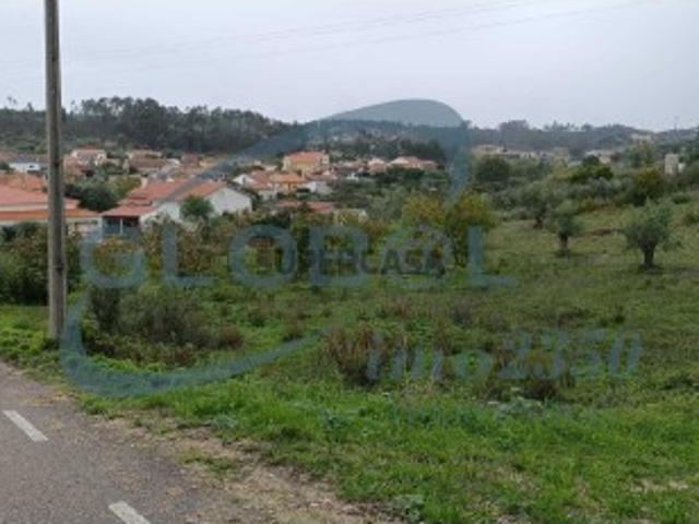 Terreno venda em Torres Novas