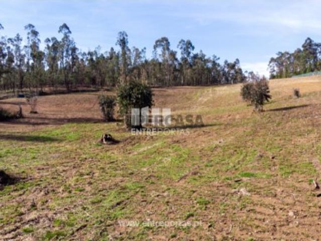 Terreno venda em Ponte De Lima, Correlhã Terreno venda em Ponte De Lima, Correlhã