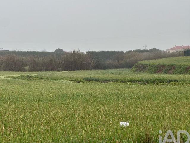 Terreno venda em Peniche, Leiria