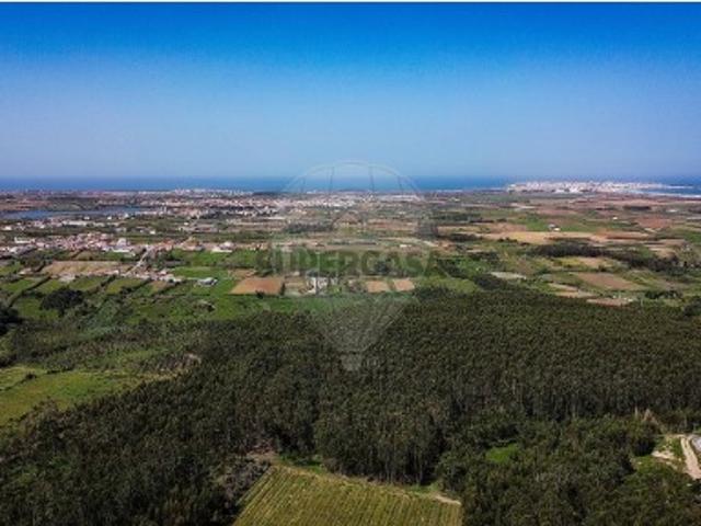 Terreno venda em Bufarda, Peniche