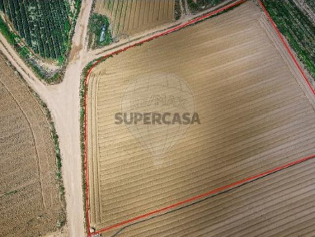 Terreno venda em Bufarda, Peniche
