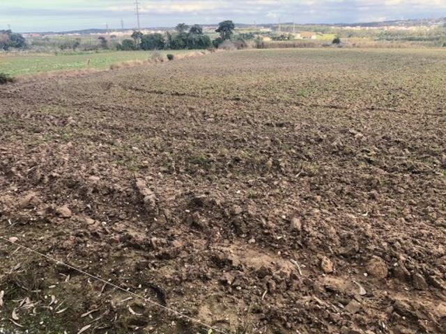 Terreno venda em Bufarda, Peniche