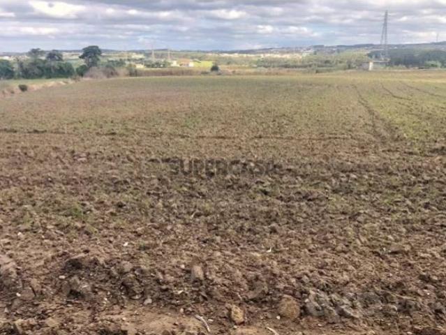 Terreno venda em Peniche, Leiria