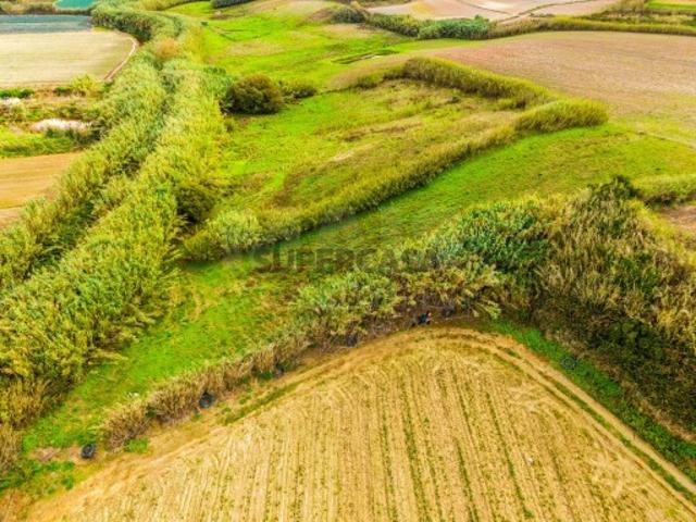 Terreno venda em Bufarda, Peniche