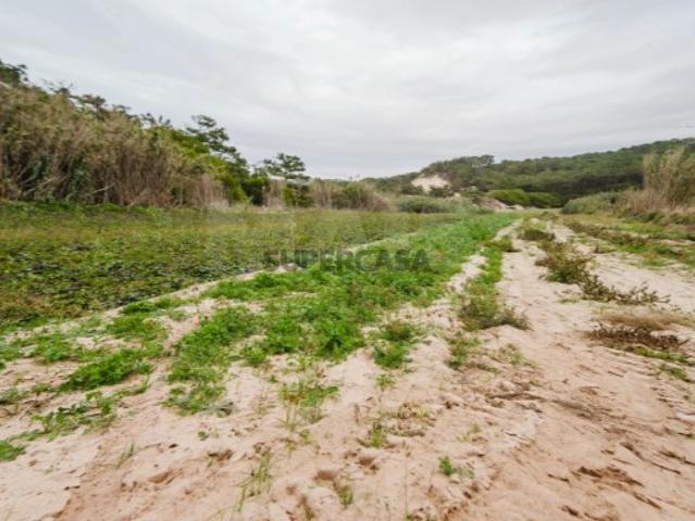 Terreno venda em Bufarda, Peniche