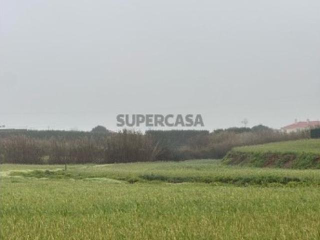 Terreno venda em Peniche, Leiria
