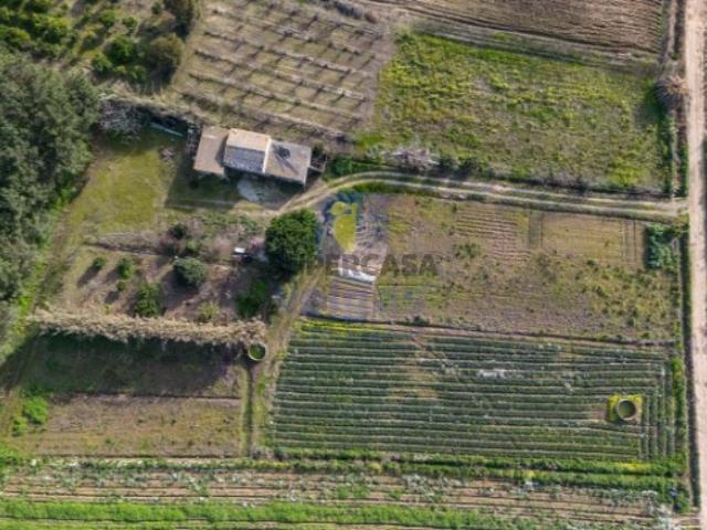 Terreno venda em Peniche, Leiria