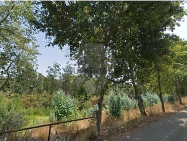 Terreno venda em Porto Tonce, Estarreja