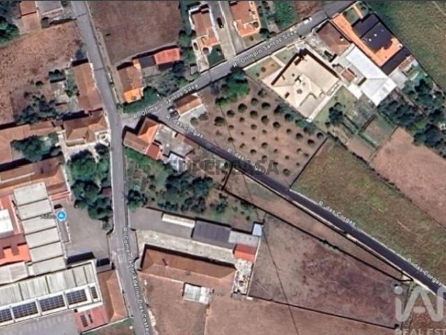 Terreno venda em Lombão, Estarreja