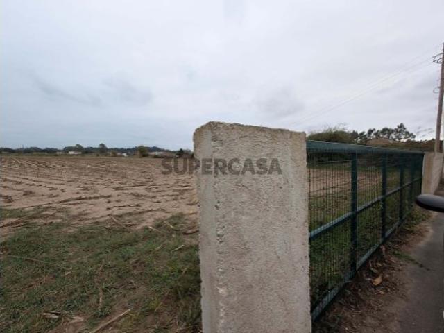 Terreno venda em Avanca, Estarreja
