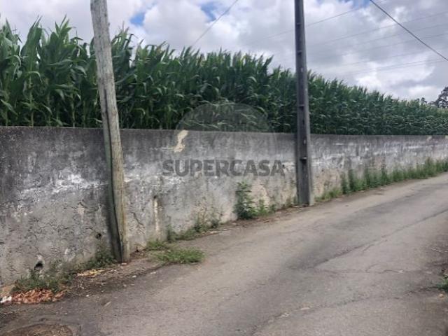 Terreno venda em Avanca, Estarreja