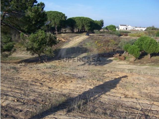 Terreno venda em Azambuja, Lisboa